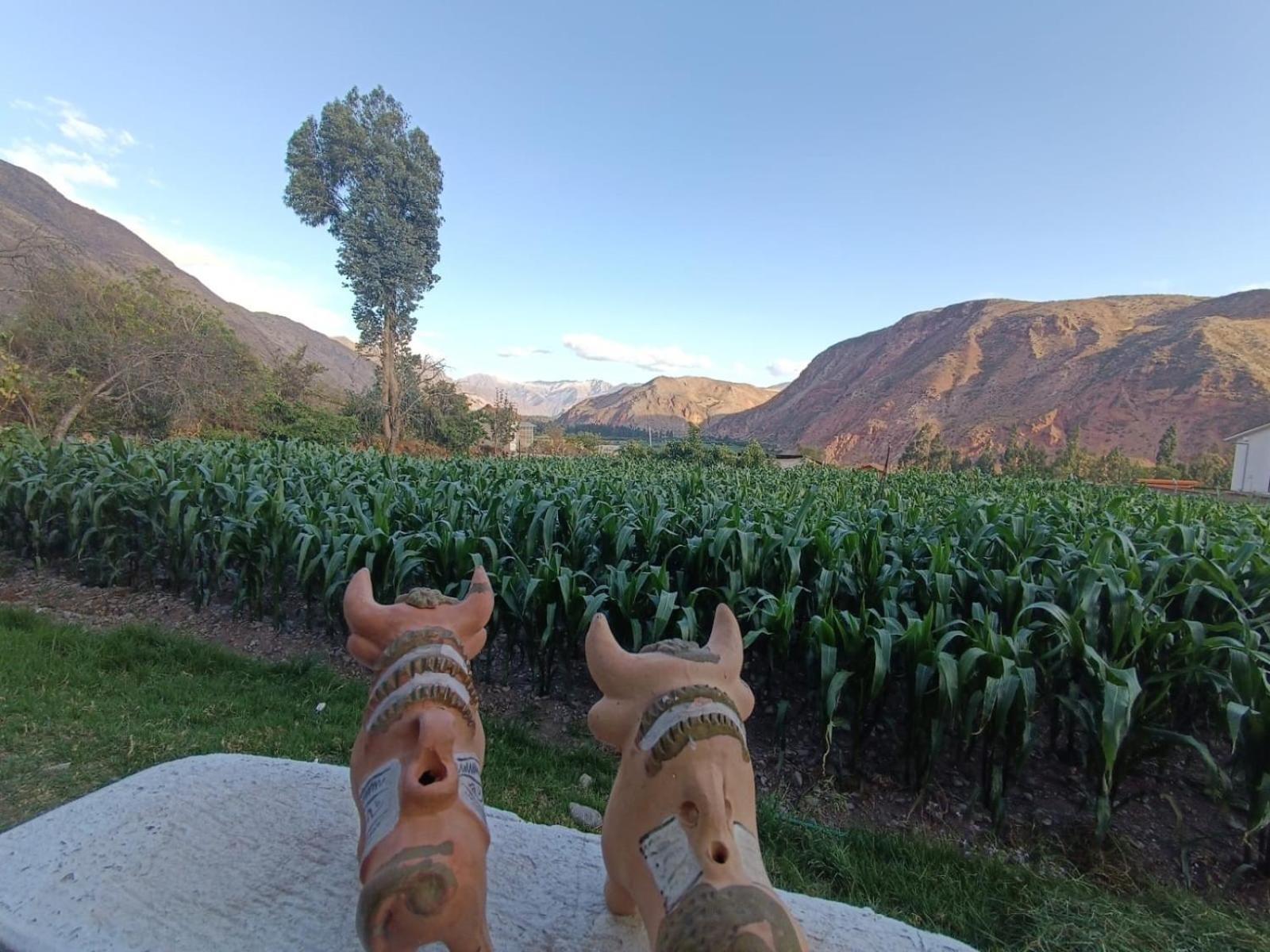 Casa Yanahuara Valle Sagrado - Urubamba Buitenkant foto
